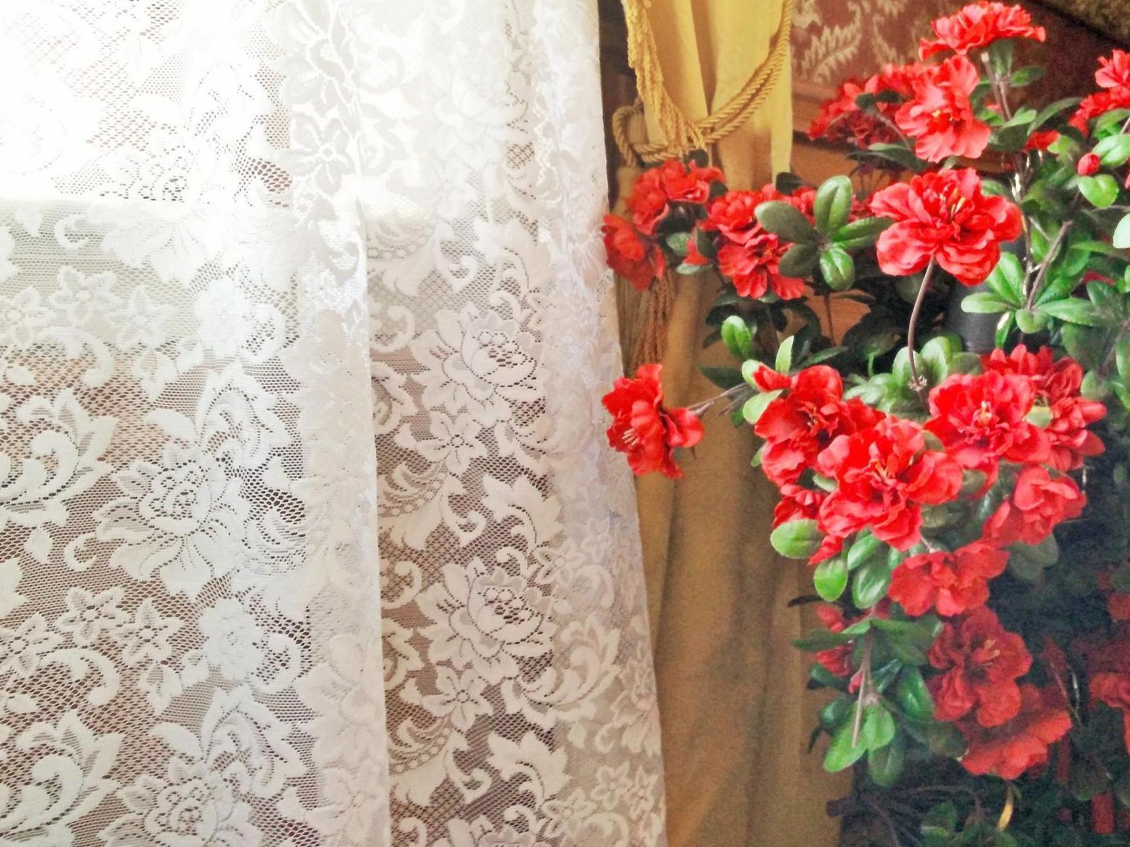 Hotel Cristina Roma Dış mekan fotoğraf